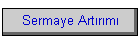 Sermaye Artırımı
